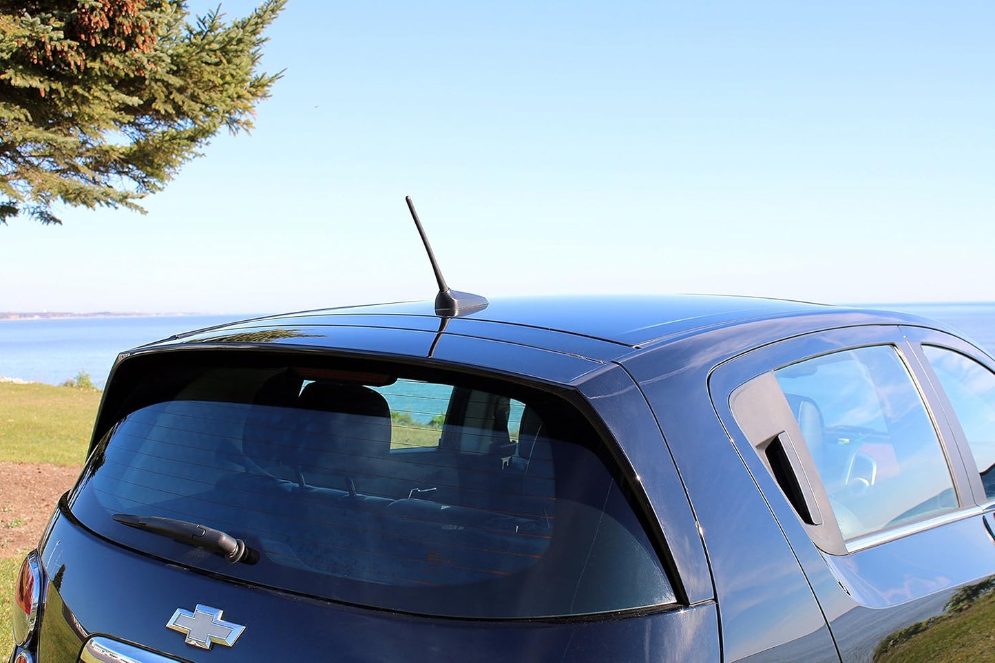 AntennaMastsRus 8 Inch (1998-2010) - Screw-On Antenna is Compatible with Volkswagen Beetle