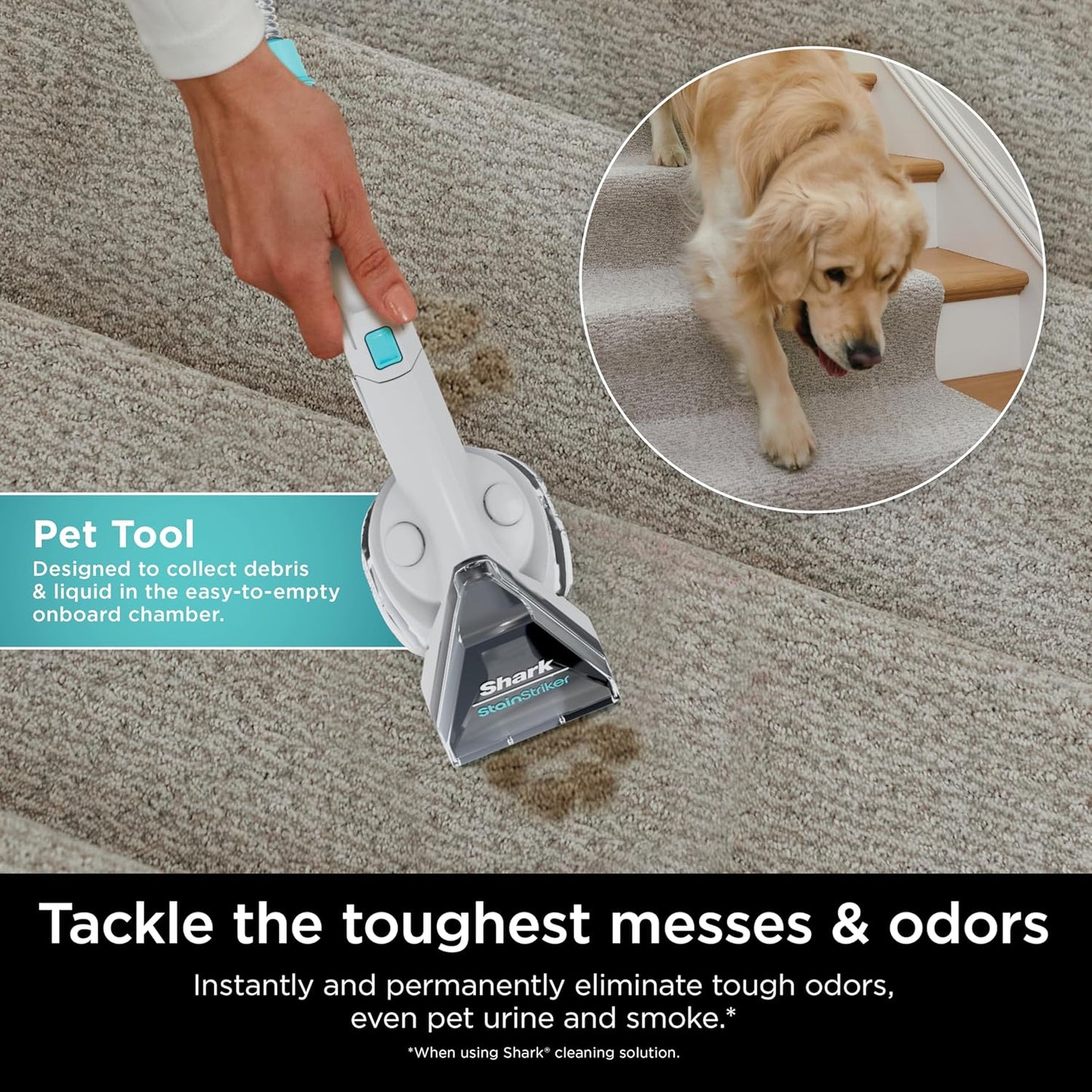 Shark StainStriker Portable Carpet Cleaner - Pet Mess Extractor & Odor Remover | White, PX201