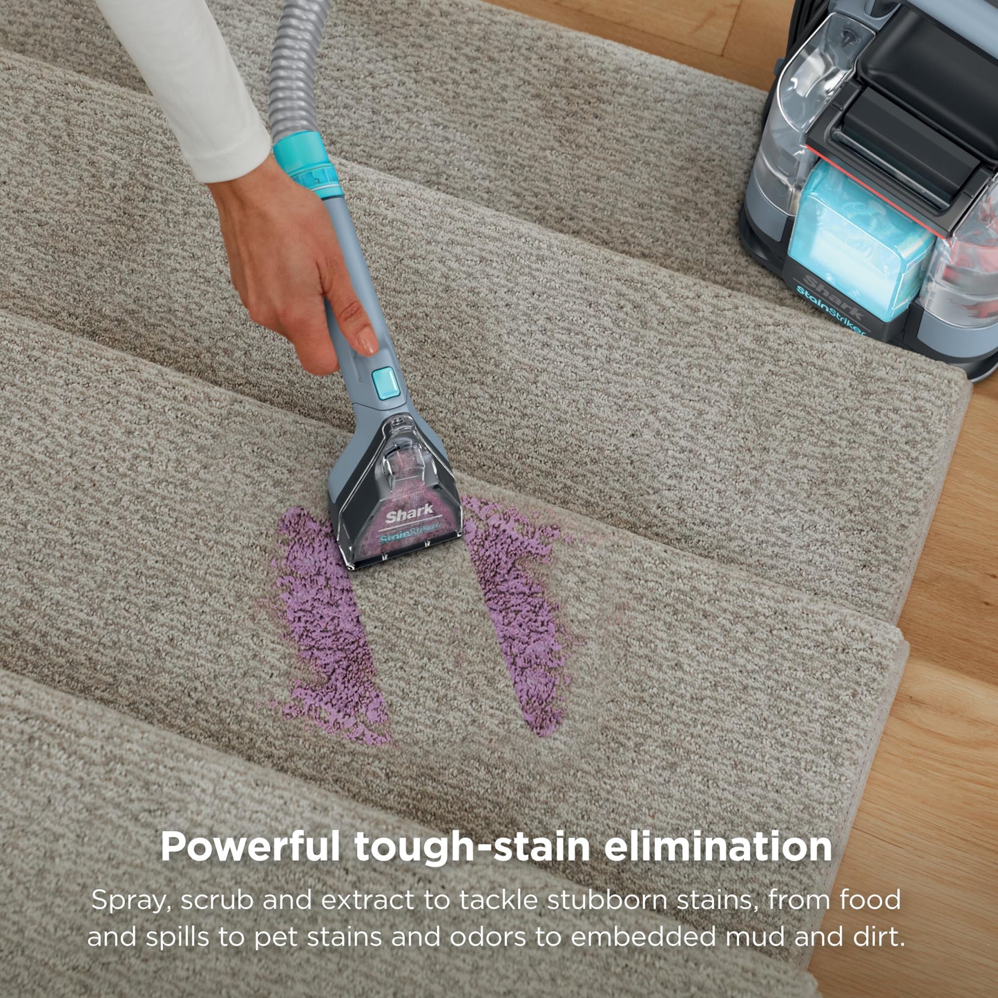 Shark StainStriker | Portable Carpet, Upholstery & Area Rug Cleaner | 4 Tools | Bonus Full-Size Solutions | Powerful Stain & Odor Remover | Deep Clean & OXY Solutions | Blue | PX202BRN