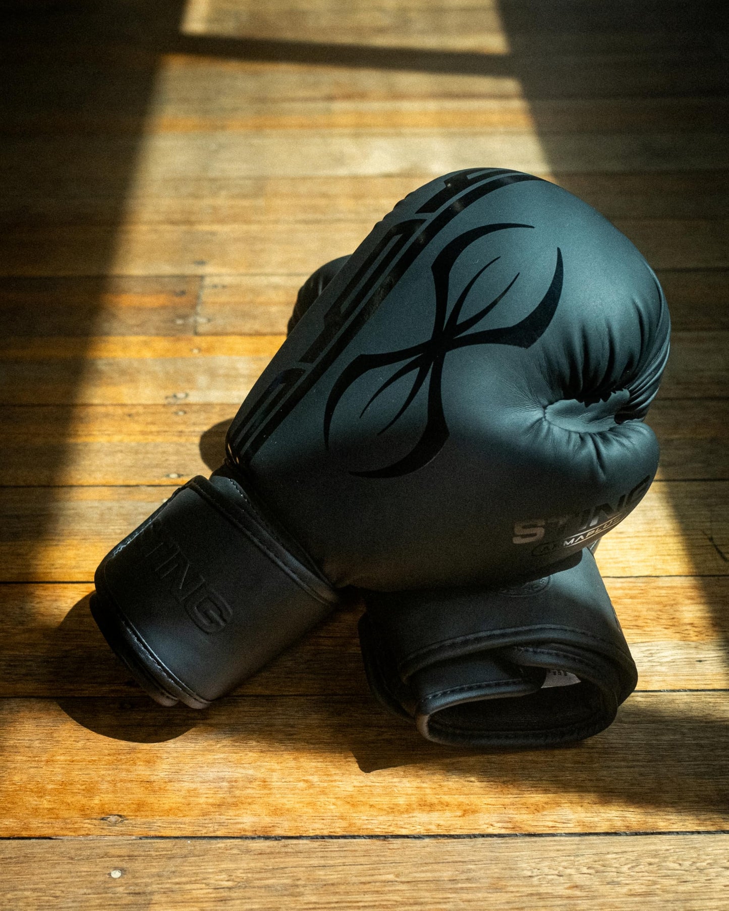 STING Armaplus Boxing Gloves, Matte-Finished High-Tech Gloves for Boxing, MMA, Muay Thai, and More, Shock-Absorbent Boxing Gloves for Men and Women, Boxing Equipment, Black, 16 Oz.