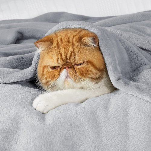 Bedsure GentleSoft Fleece Blanket - Lightweight Plush Cozy King Size in Light Grey, 102x96 Inches