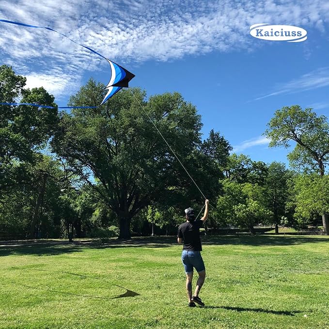 Large Delta Kite Easy to Fly with Kite Reel Set, Beach Kite & Kite Spool for Kids & Adults, Single Line Triangle Kite with 7.1 Inch Kite Wheel Kit