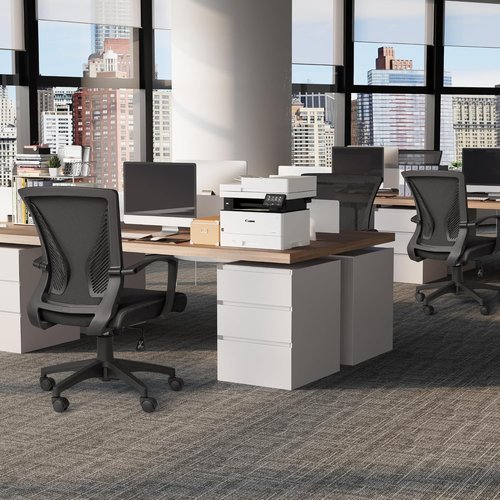 Furmax Ergonomic Office Chair - Mid Back Mesh Design with Lumbar Support & Armrests | Black