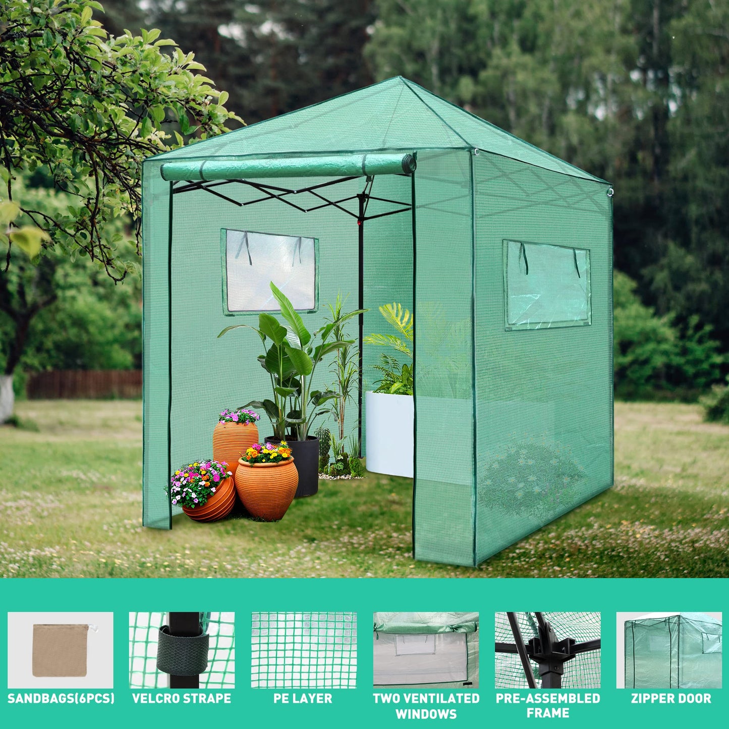 PexFix 6'x 5' Portable Walk-in Greenhouse, Easy Setup, Indoor/Outdoor, 2 Roll-Up Mesh Windows, Roll-Up Zipper Door, Green