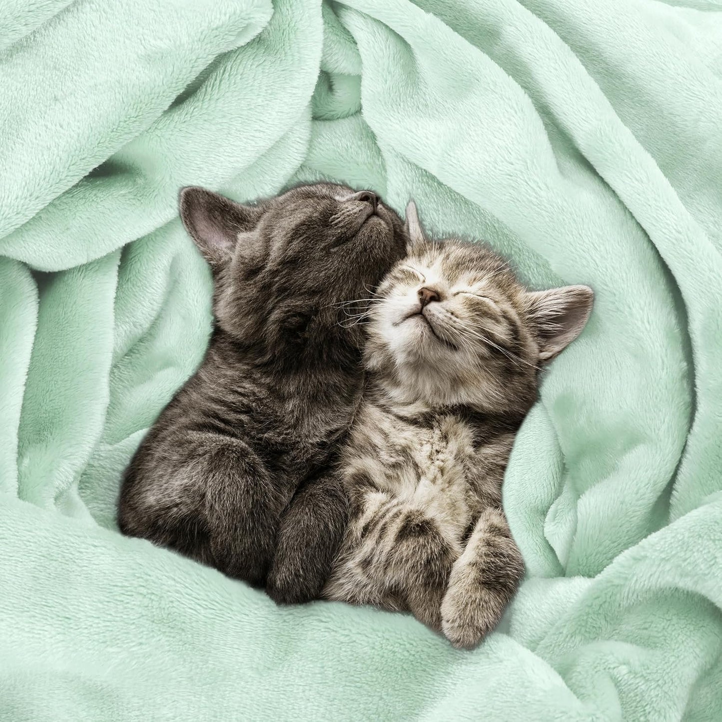 Utopia Bedding Fleece Blanket - Ultra Soft Mint Green Twin Size (60x80 Inches) | Cozy All-Season Microfiber Decor