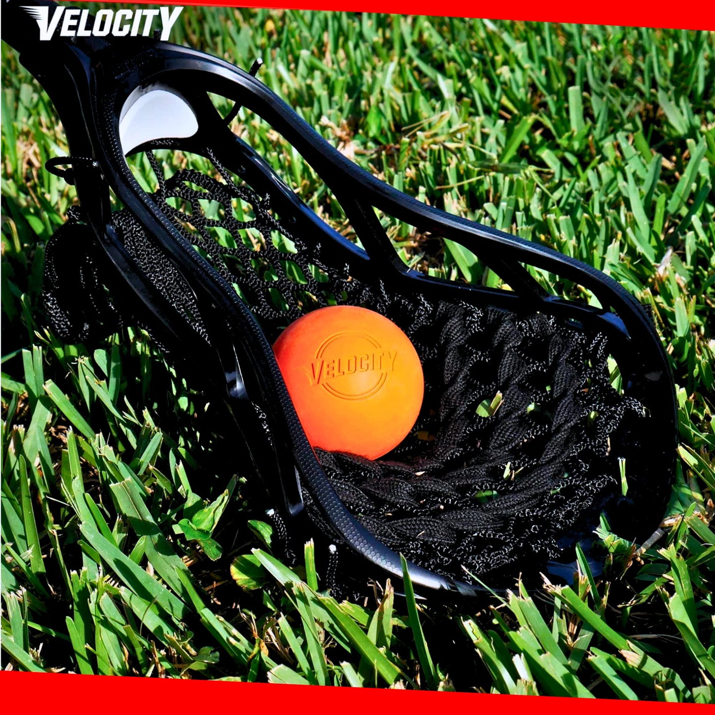 Velocity Practice Lacrosse Balls - 1, 2, 3, 6, 12, 18, 24, 36, 60 and 120 Packs - Official Size and Weight - Light Blue