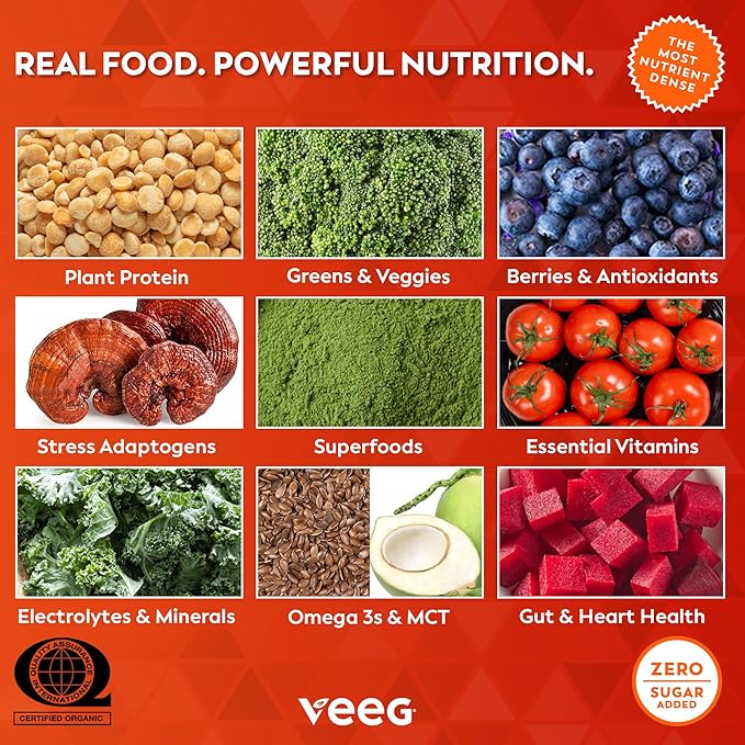 Veeg All-in-One Protein Smoothie Powder - Plant Based Protein Powder, Superfoods, Organic Greens, MCT Powder, Probiotics, Multivitamins for Men & Women, Sugar-Free, 15 Servings (Vanilla)