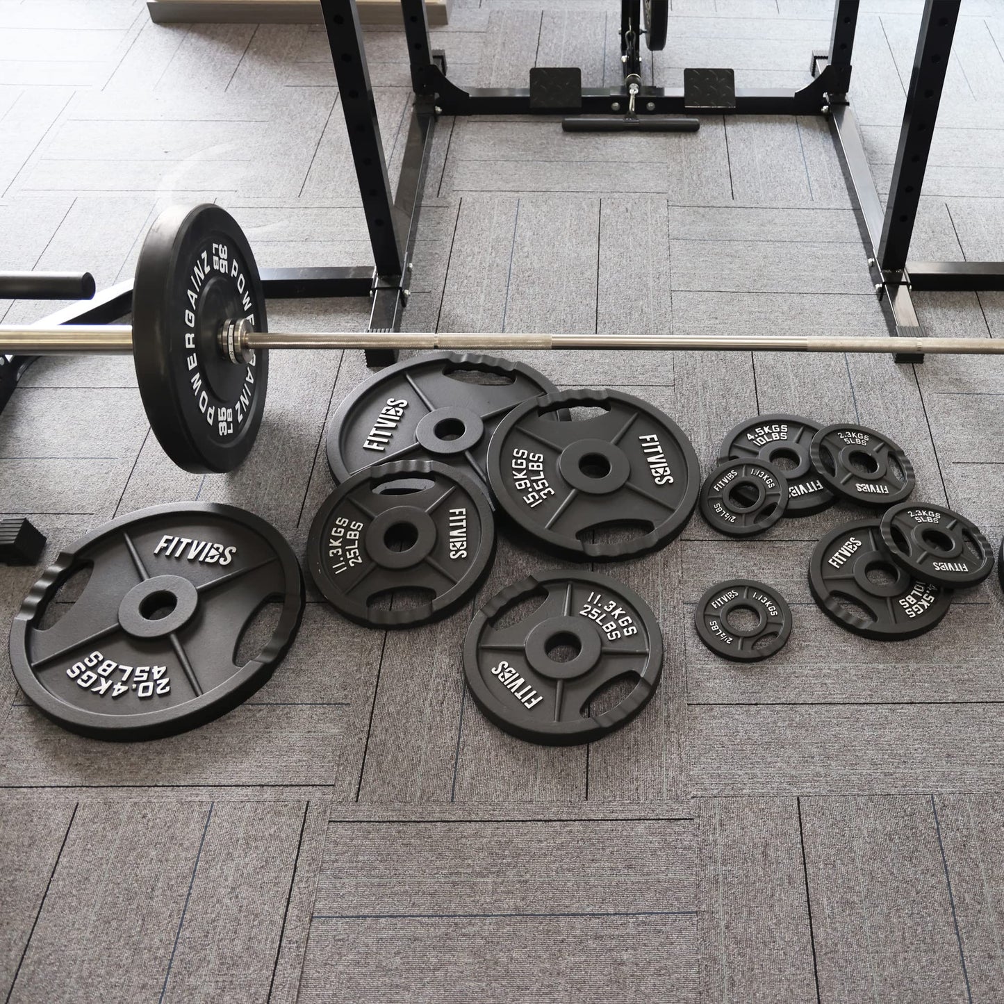 Olympic 2-Inch Cast Iron Plate Weight Plate for Strength Training and Weightlifting, Two Hole Style, 25LB Pair