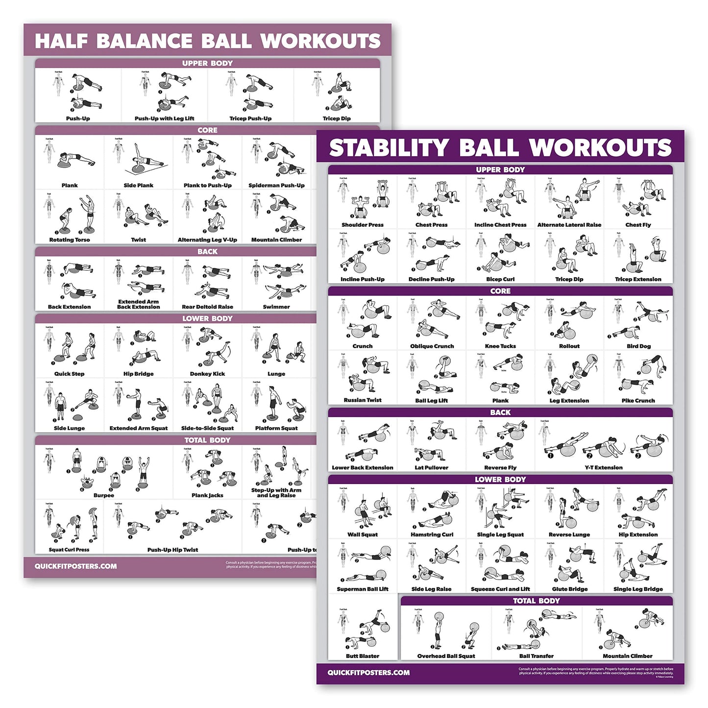 Palace Learning 2 Pack, Half Balance Ball Workout Poster + Yoga Ball Exercise Chart - Set of 2 Workout Posters (LAMINATED, 18" x 24")