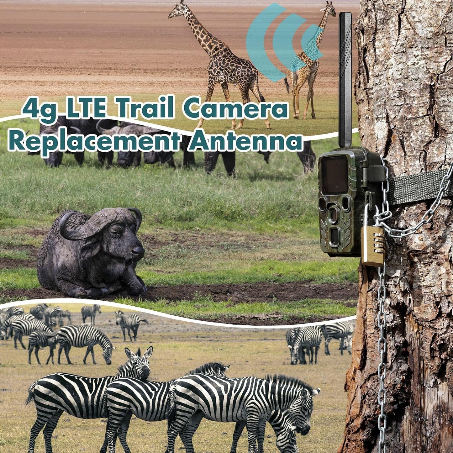 Tellegloww 4 4g 4g Pcs WiFi Antenna Cellular Trail Camera Reveal LTE Trail Camera Replacement Antenna with Rp-SMA Male