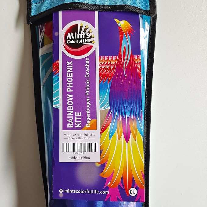 Mint’s Colorful Life Large Kite for Kids and Adults, Easy to Fly Single Line Beach Kites, Comes with 300ft String Handle