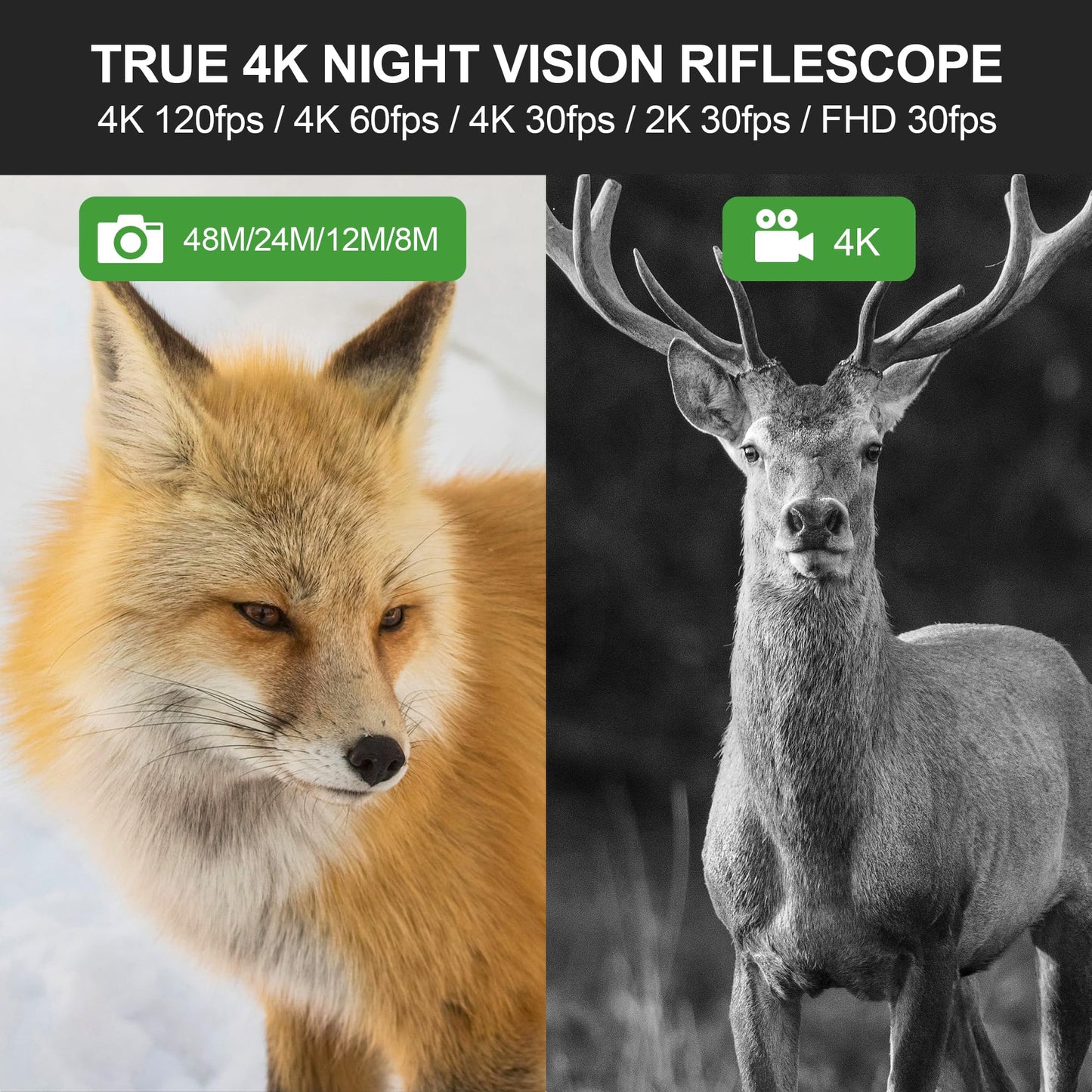 Oneleaf.ai Commander NV500 HD Digital Night Vision Scope with Ballistic Calculator, 4K Video Recording, 3864x2228 Resolution (NV500 2X4X LRF)