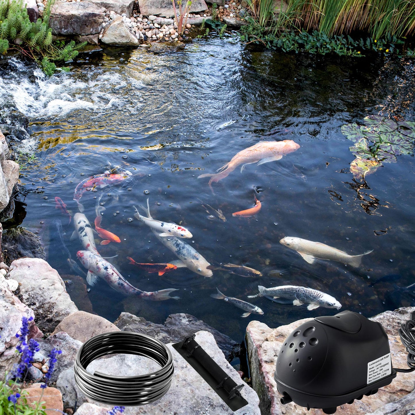 Luckerain Pond Aerator 8000 Gallons Koi Pond Air Pump, Aerators for Outdoor Ponds,Air Pump with Weighted Air Line and Submersible Diffuser Stick