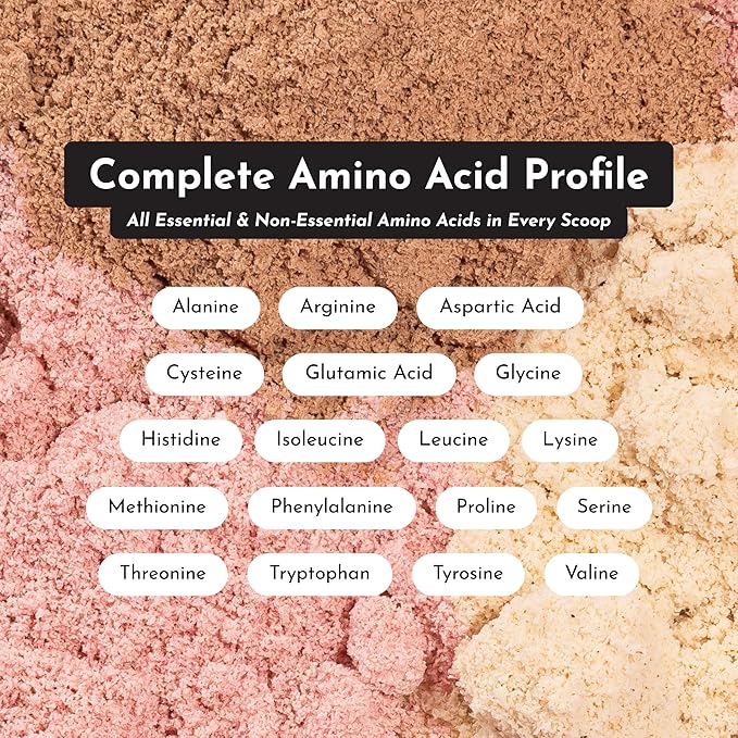 JUST INGREDIENTS Mint Chocolate Protein Powder ??30 Serving Bag ??Grass-Fed Whey & Plant Protein Blend with Real Cocoa & Peppermint ?“Sweetened, Non-GMO, Gluten-Free, No Artificial Flavors