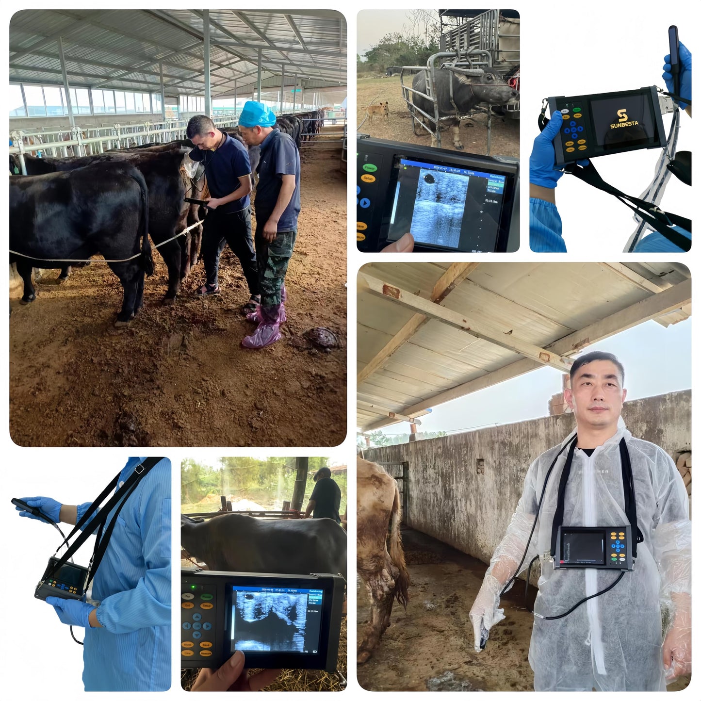 SUNBESTA Veterinary Ultrasound Machine A20, 3.5MHz Convex Probe, Aluminum Alloy Design, Rechargeable+ Carrying case, Friendly to Beginners, for Dog Kennels, Pig Farm and Sheep Farm Pregnancy Check