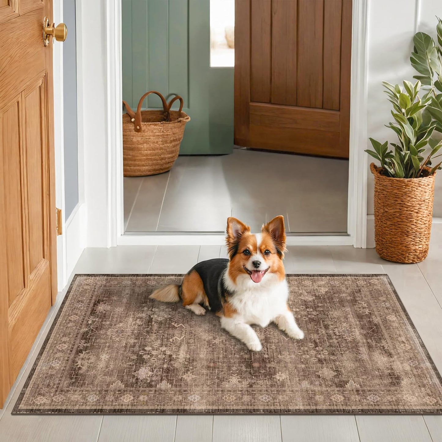 Skiennix Brown Boho Washable Entry Rug - Non-Slip Rubber Backing | Stain & Fade Resistant, 3x4 ft