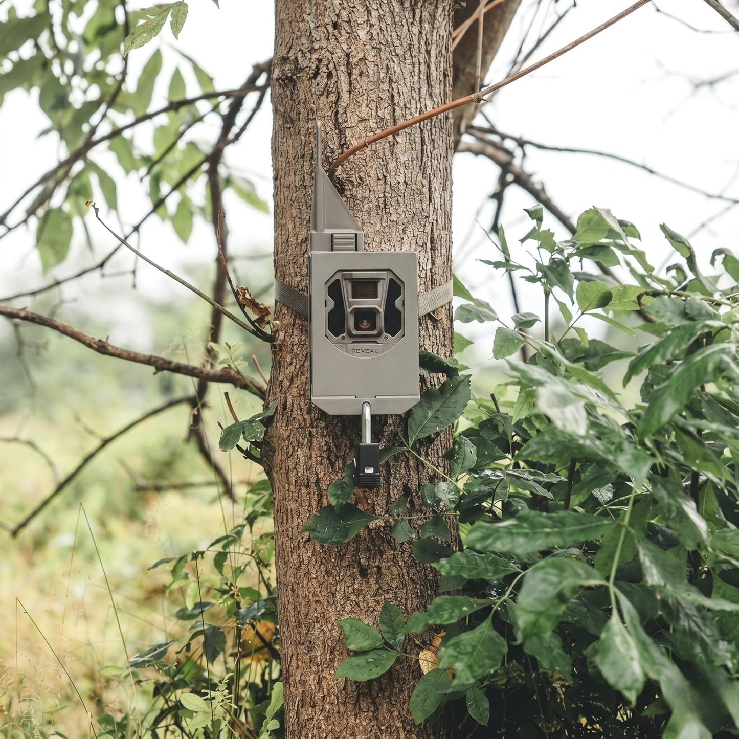 TACTACAM 2.0, 3.0, 3.0, Reveal Security Box Powder-Coated Steel Trail Camera Lock Box, Anti-Theft & Animal Damage