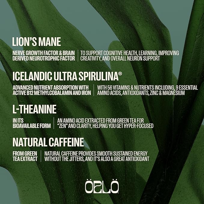 ORLO BRAIN PERFORMANCE BAR ??Vegan Protein Bars for Brain & Energy Support ??Focus & Memory, Pre & Post Workout Recovery ??Gluten Free Snack with L-Theanine, Lions Mane, Spirulina & More (12 Bars)