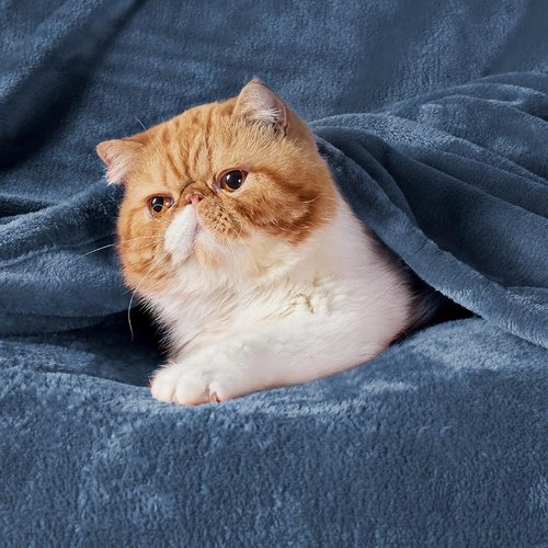Bedsure GentleSoft Fleece Throw Blanket - XL Mineral Blue 300GSM Plush & Cozy for Bed, Sofa, Travel | 50x70 Inches
