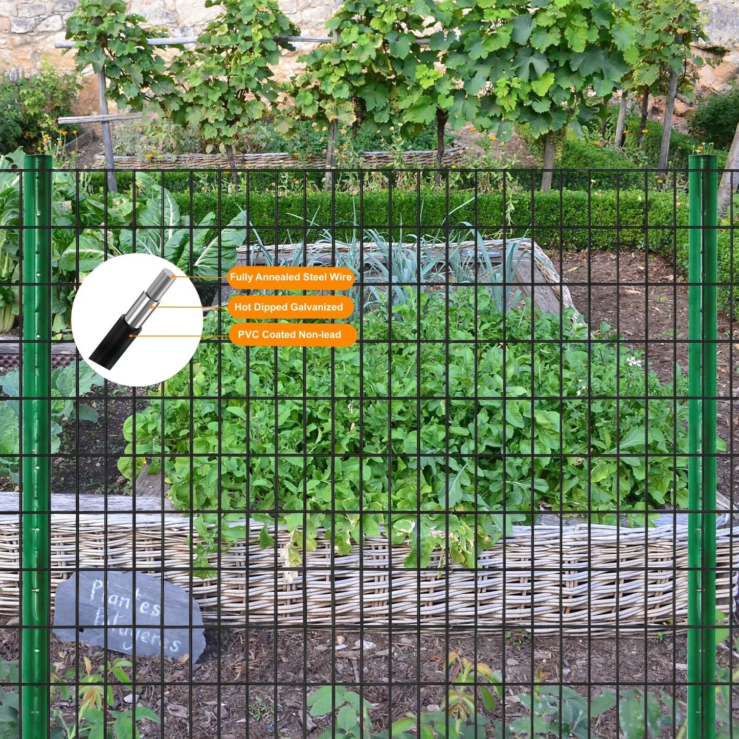SOTTORICH Garden Fence 48in x 100ft, 2 x 3 Inch 16GA, Chicken Wire Mesh Garden Border Fencing Roll Vinyl Coating Metal Wire Mesh Hardware Cloth for Yard Vegetable Plant Protection Poultry Netting