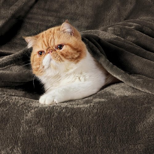 Bedsure GentleSoft King Size Fleece Blanket - Soft, Lightweight, Plush & Cozy Microfiber, 108x90 Inches