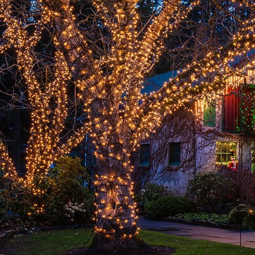 HISHINY Christmas Lights - 100 Count Mini Clear String Lights | 21ft White Wire for Indoor/Outdoor Decor