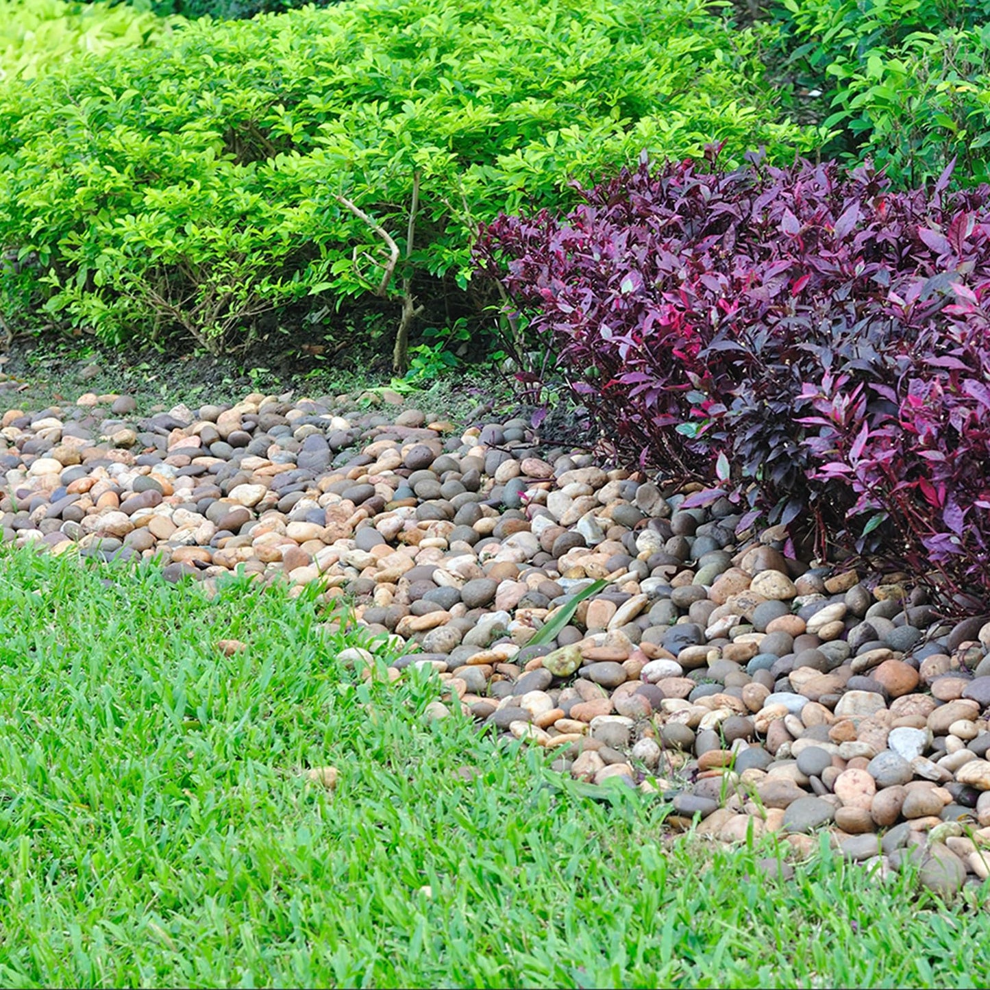 Pulovin 40 lbs River Rocks for Aquarium, 3-4 Inch Fish Tank Rocks, Natural Decorative Garden Rocks Outdoor Landscaping, Large Stone for Walkways, Yard, Vases, Crafts