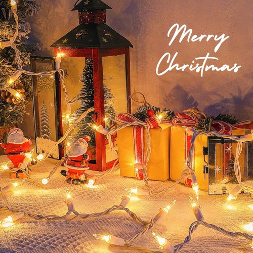 Clear Christmas Lights Set - 50 Count Mini String Lights with White Wire | Warm White for Indoor Decor