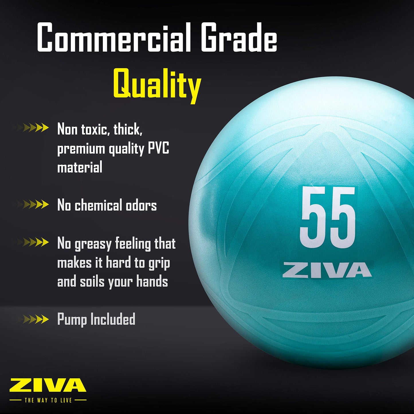 ZIVA Anti Burst Core Fitness Exercise Ball - Professional Grade Slip Resistant Yoga Ball for Stability Balance - Multiple Sizes, 55-75cm, 55 cm - Turquoise