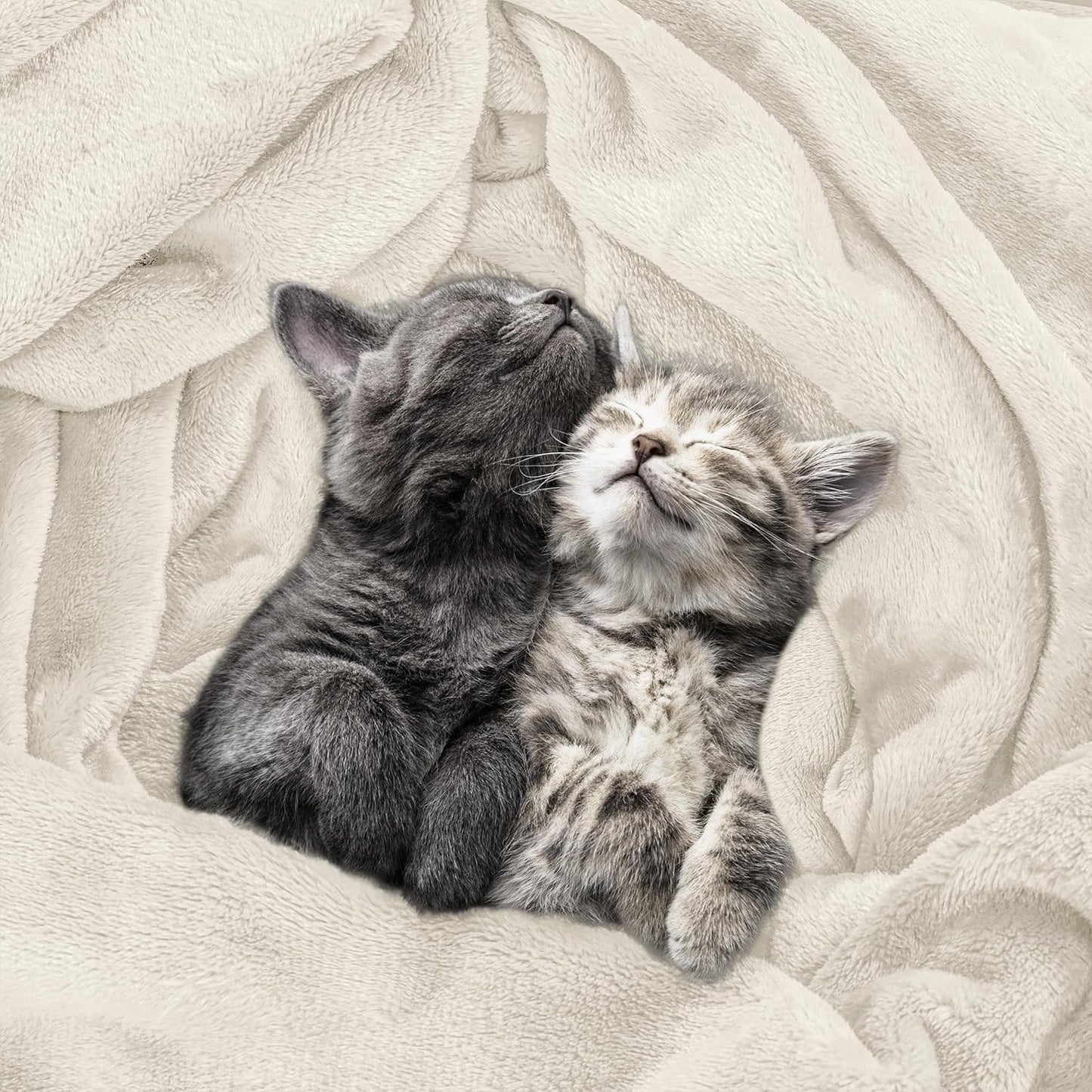 Utopia Bedding Fleece Blanket - Ultra Soft & Lightweight Twin Size (60x80 Inches) | Cozy All-Season Home Decor Gift