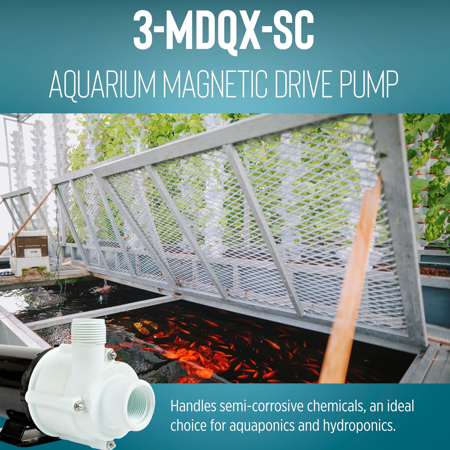 Little Giant 3-MDQX-SC 115-Volt, 1/15 HP, 1000 GPH, Non-Submersible Magnetic Drive Free Flow Aquarium Circulation Pump, 6-Ft. Cord, Black/White, 581507