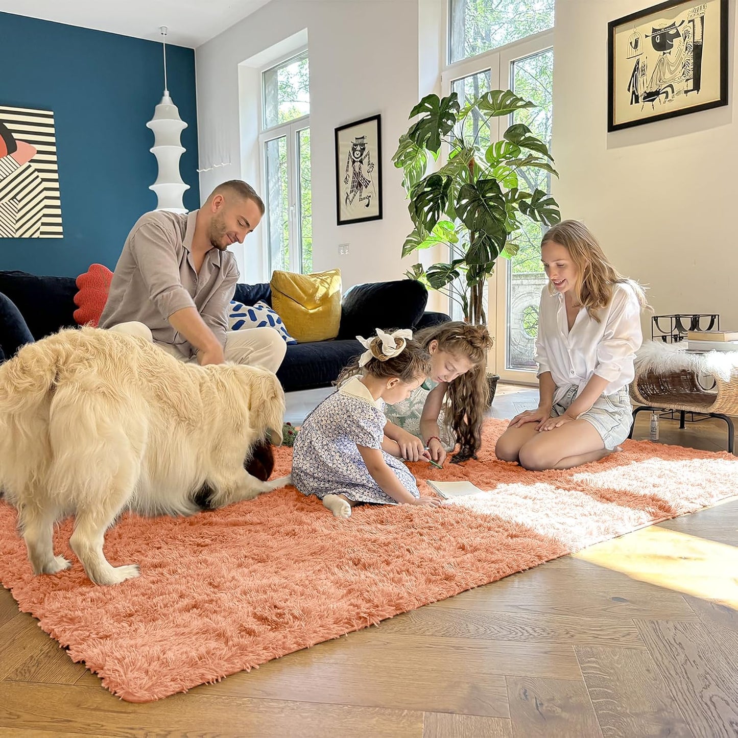 OLANLY Large Area Rug - Soft Fluffy Shaggy Carpet for Living Room & Bedroom - 9x12, Muted Orange