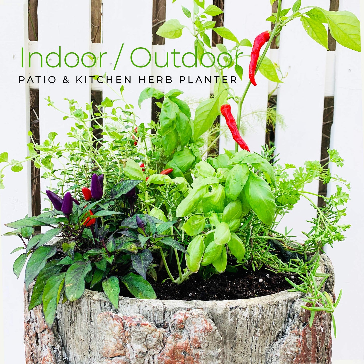 Bushy Box 🌳 Large Hollow Log Planter. Outdoor Garden, Yard & Porch Pot. Tall Tree Stump Well Pump Cover. Weatherproof, Rustic, Natural Looking Deck & Patio Decor. Better Than a Fake Rock.