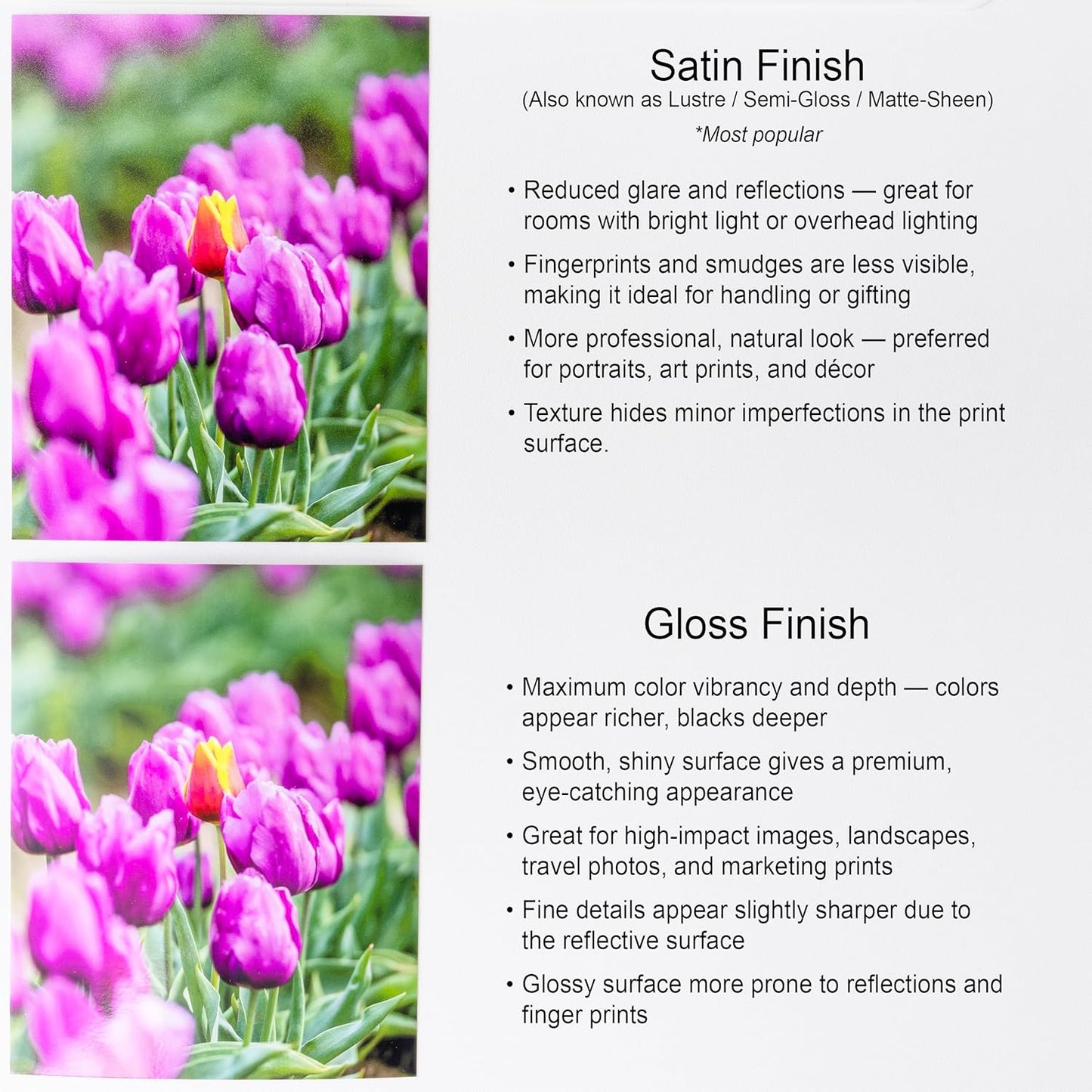 Premium Custom Photo Prints | Upload Your Image with Professional Enhancement - 5"x7" Size