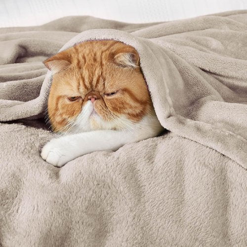 Bedsure GentleSoft Fleece Throw Blanket - Cozy Lightweight Plush Sofa Blanket, Oxford Tan, 50x70 Inches