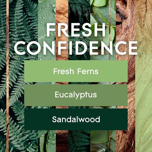 Glade Air Freshener Spray - Fresh Confidence Limited Edition | Essential Oil Infused, 8 oz, Pack of 6