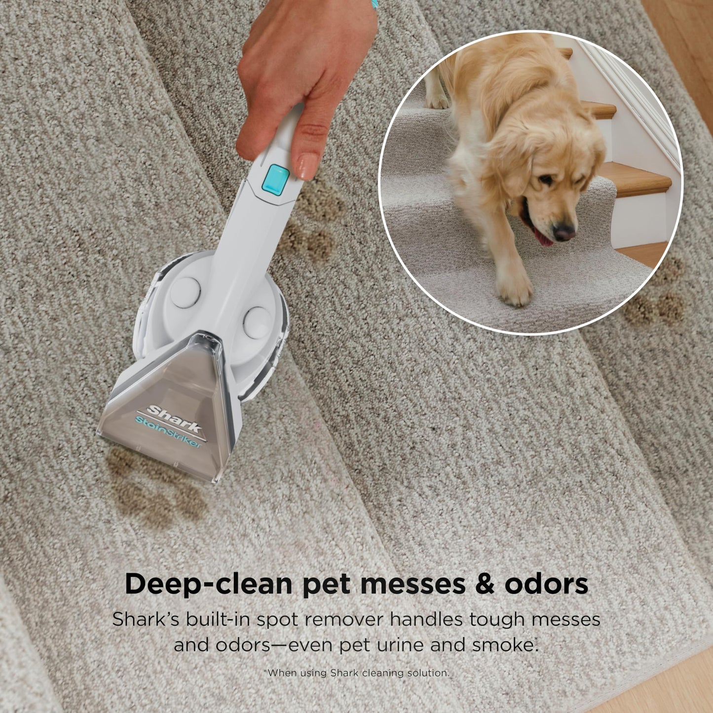 Shark CarpetXpert | Upright Carpet, Area Rug & Upholstery Cleaner | Carpet Shampooer with StainStriker Handheld Tough Stain Eliminator | Removes Tough Stains & Odors | 3 Cleaning Tools | White | EX201