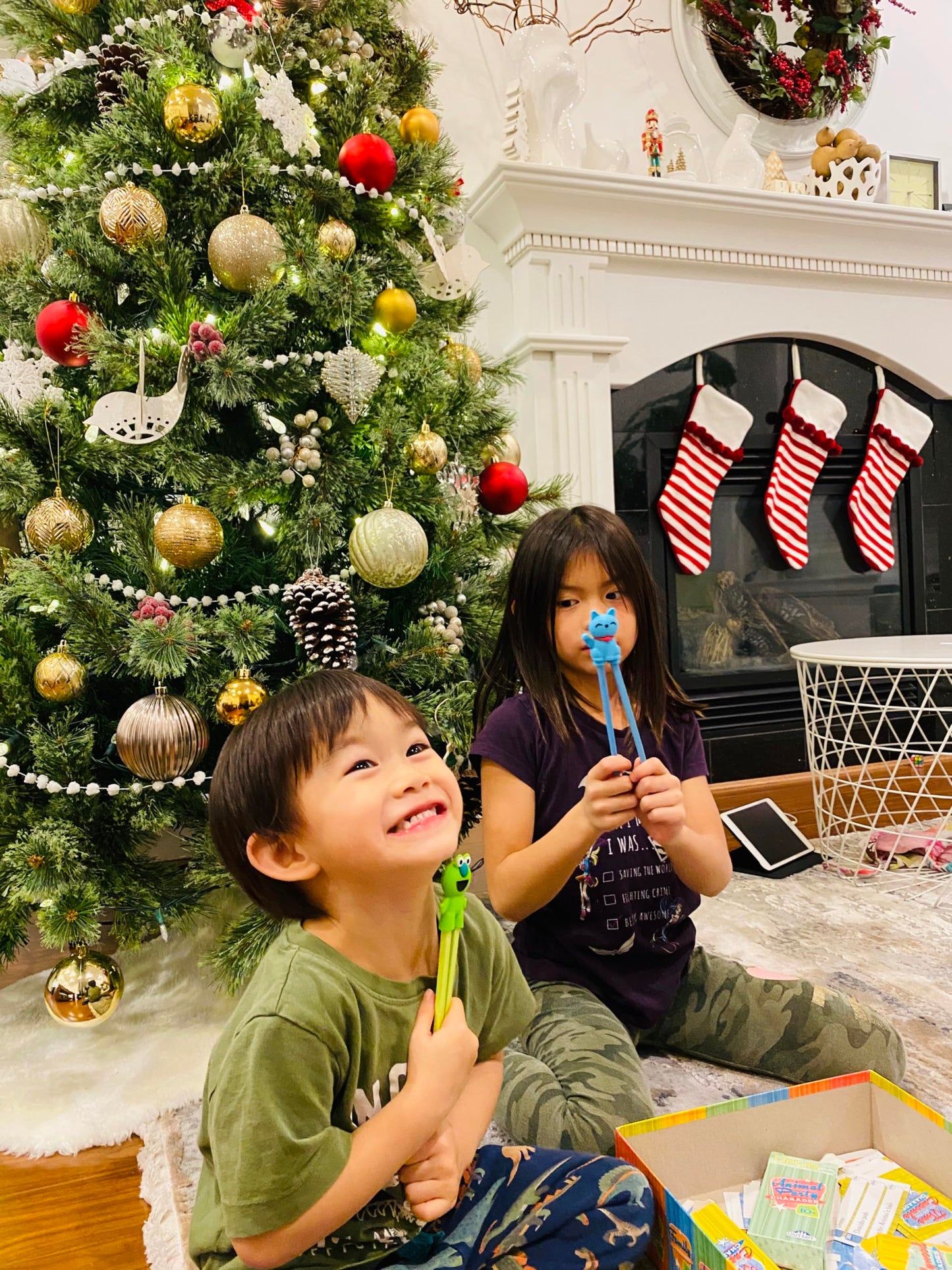 Kids Training Chopsticks for Toddlers, Kids and Adults with 4 Pairs of Removable Finger Helpers, Animal Design, BPA-Free, Dishwasher-Safe (Animals 4-Pack)