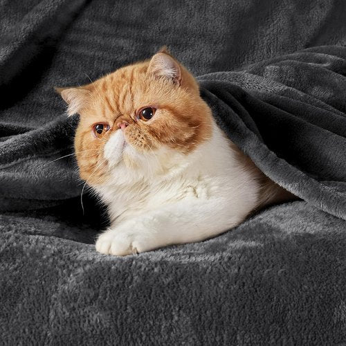 Bedsure GentleSoft Fleece Throw Blanket - Dark Grey 300GSM Cozy Plush Blanket for Couch & Bed