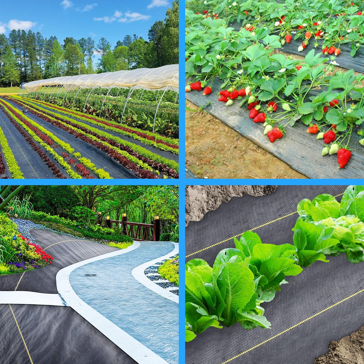 Sunocity 6ft x300ft Black Weed Barrier 3.5oz Landscape Premium Fabric-Heavy Duty Woven Ground Cloth with Superior Permeability Weed Control Convenient Design