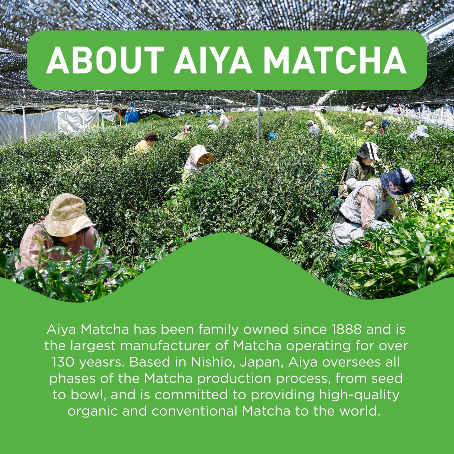 Aiya Certified USDA Organic Culinary Grade Matcha Green Tea Powder - Ideal for Baking, Lattes, Smoothies - Gluten-Free & Non-GMO - 100g Bag (3.52 oz)