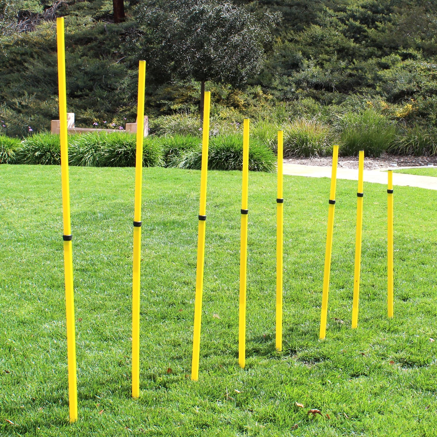 BlueDot Trading Soccer Agility Training Poles Adjustable Telescopic 3ft-6ft (8pc), Speed & Agility Poles for Soccer Training, Outdoor Game, Exercise Training, Football, Sport Training Equipment