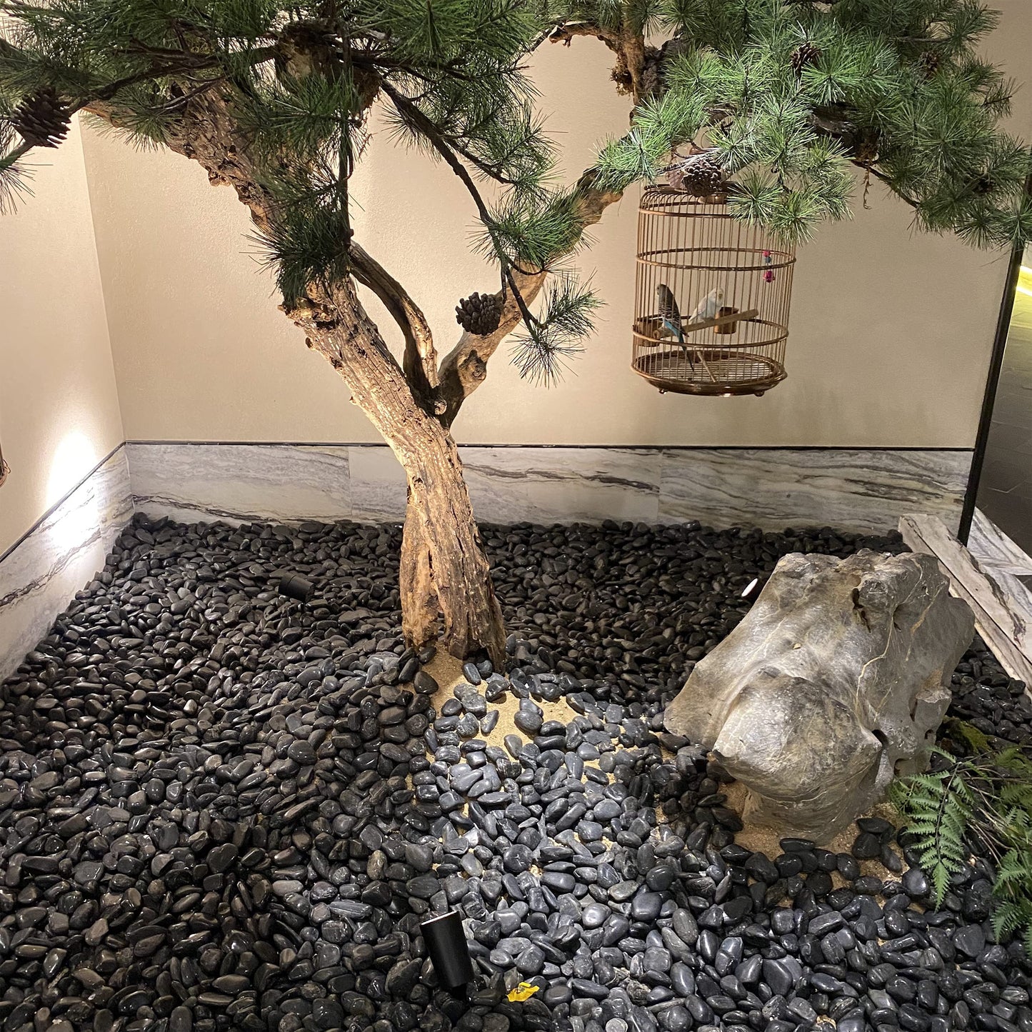 FANTIAN 40 lbs Black River Rocks for Landscaping, 2-3 inch Pebbles for Indoor Plants, Large Decorative Stones for Planters Aquarium Fish Tank and Garden Rocks
