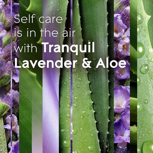 Glade PlugIns Refills Air Freshener - Tranquil Lavender & Aloe, Scented Essential Oils, 10 Count